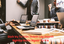 Tư Vấn Thành Lập Doanh Nghiệp Nước Ngoài (FDI)