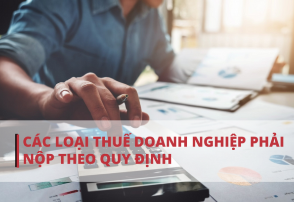 Các Loại Thuế Doanh Nghiệp Phải Nộp Năm 2024